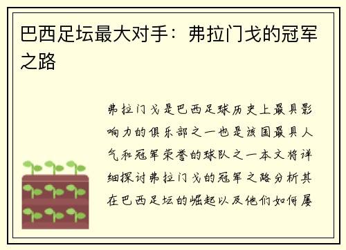 巴西足坛最大对手：弗拉门戈的冠军之路