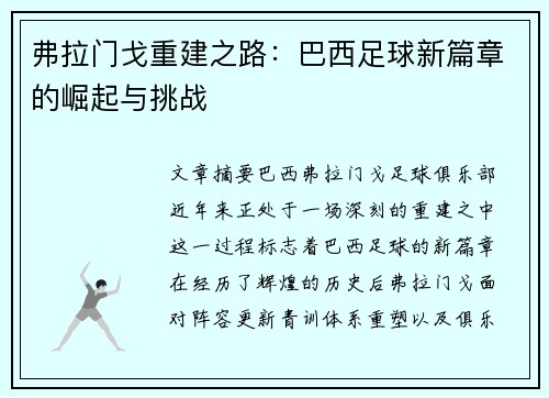 弗拉门戈重建之路：巴西足球新篇章的崛起与挑战